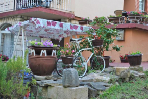 Отель Apartment Cuvi  Ровинь